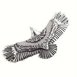 Eagle  hair clips (2) and (2) sun, moon hair  clips